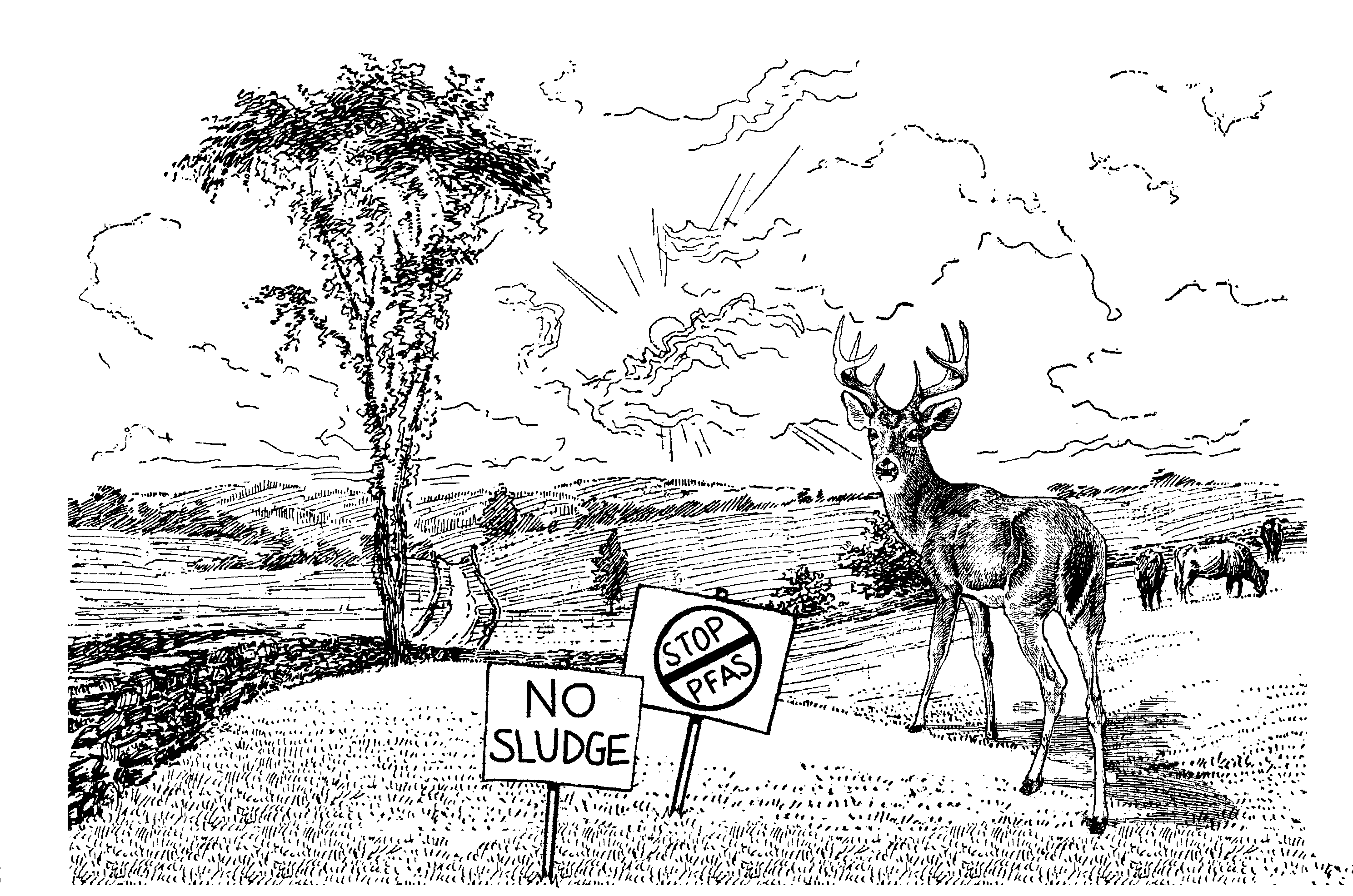 Image: A line drawing of a deer looking at you from the top of a picturesque hill. Signs on the hill say 'stop PFAS' and 'no sludge'.
